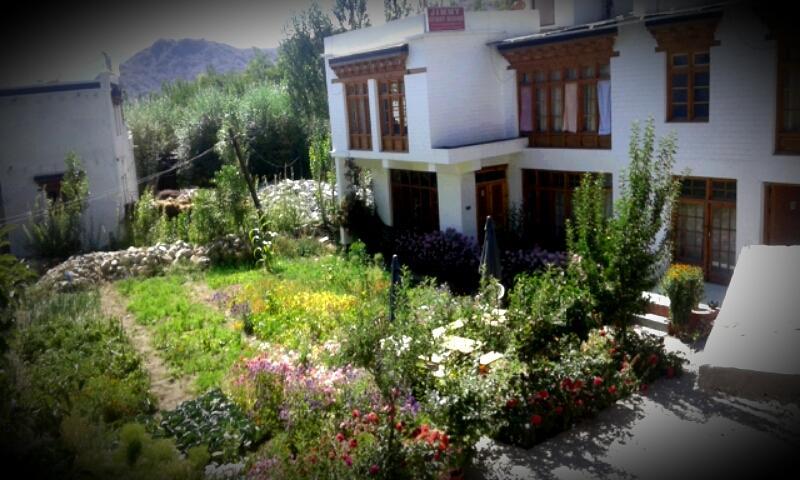 Jimmy'S Homestay Leh Exterior foto