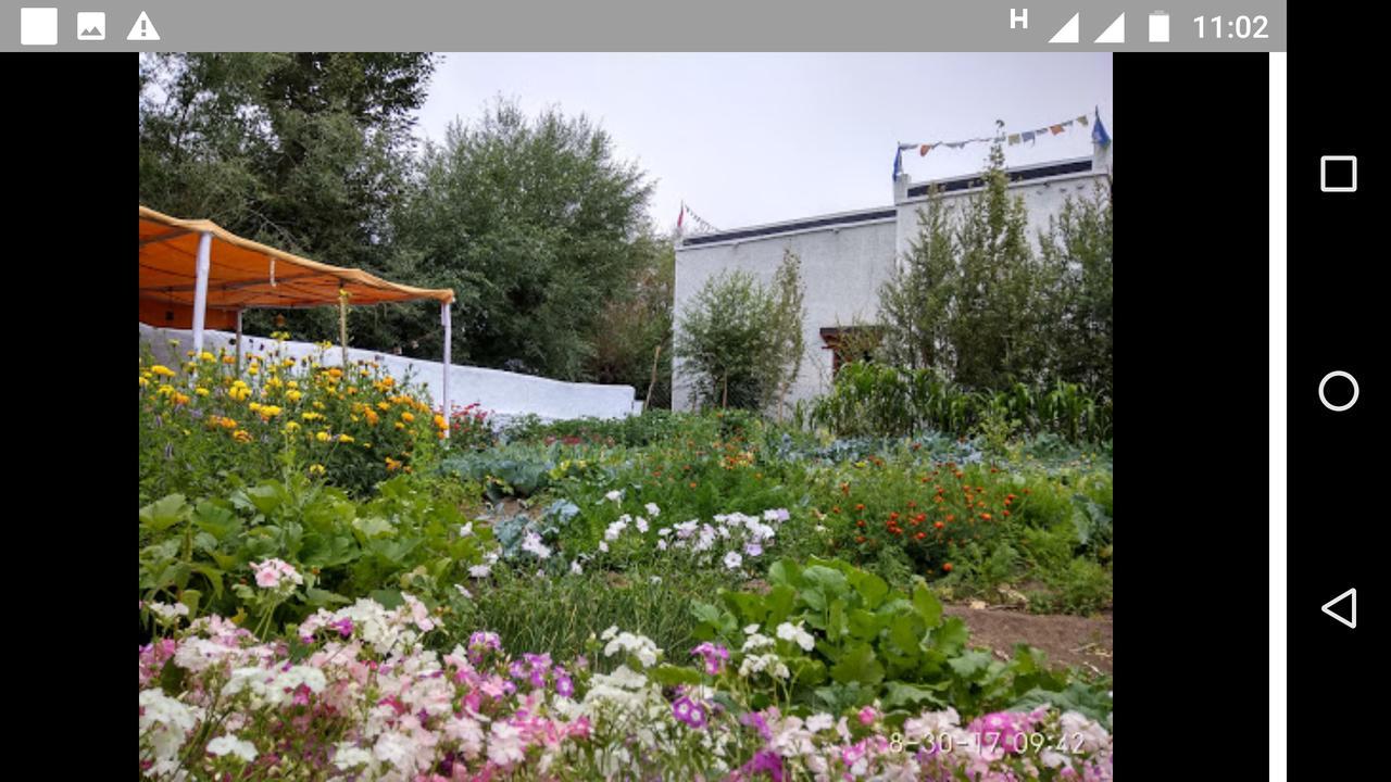 Jimmy'S Homestay Leh Exterior foto